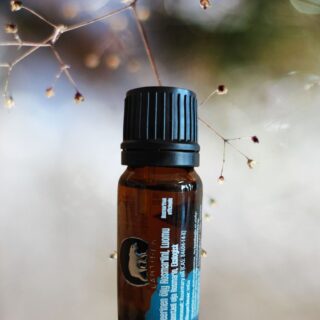 Eteerinen öljy Rosmariini - Rosemary LUOMU - 10 ml