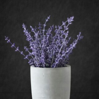 Laventelin kukka, kuivattu, LUOMU - 20 g