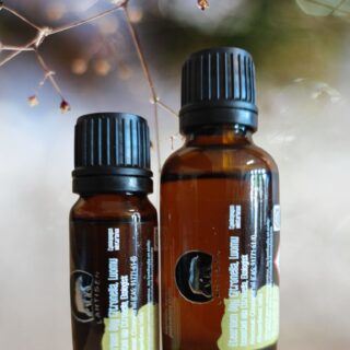 Eteerinen öljy Citronella LUOMU