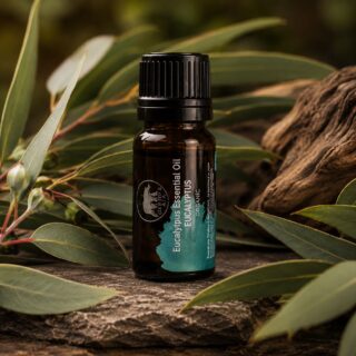 luomu eucalyptus eteerinen öljy