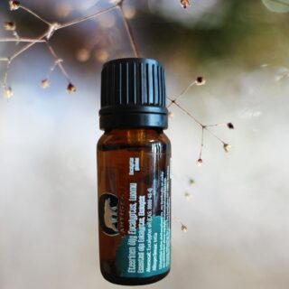 Eteerinen öljy Eucalyptus LUOMU - 10 ml