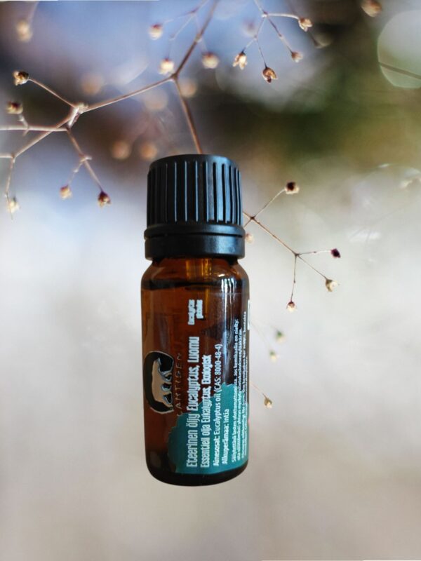 Eteerinen öljy Eucalyptus LUOMU - 10 ml