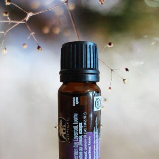 Eteerinen öljy Laventeli - Lavender LUOMU - 10 ml