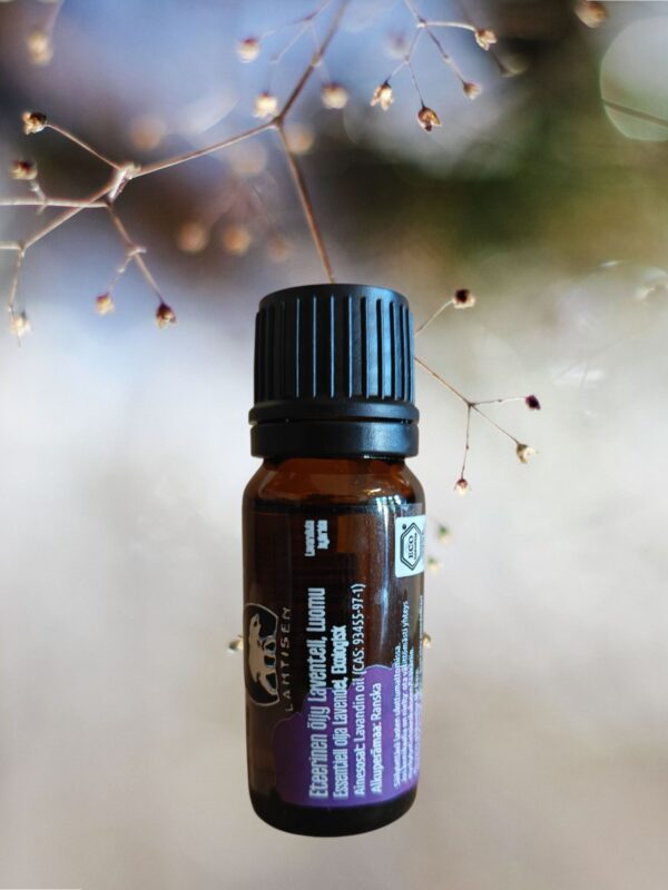 Eteerinen öljy Laventeli - Lavender LUOMU - 10 ml