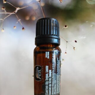 Eteerinen öljy Teepuu - Tea Tree LUOMU - 10 ml