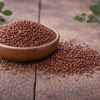 Karpalo – siemen – 20 g